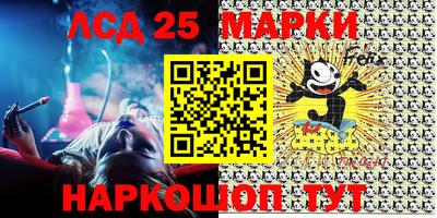 a pvp Камышлов