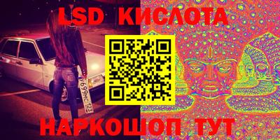 a pvp Камышлов