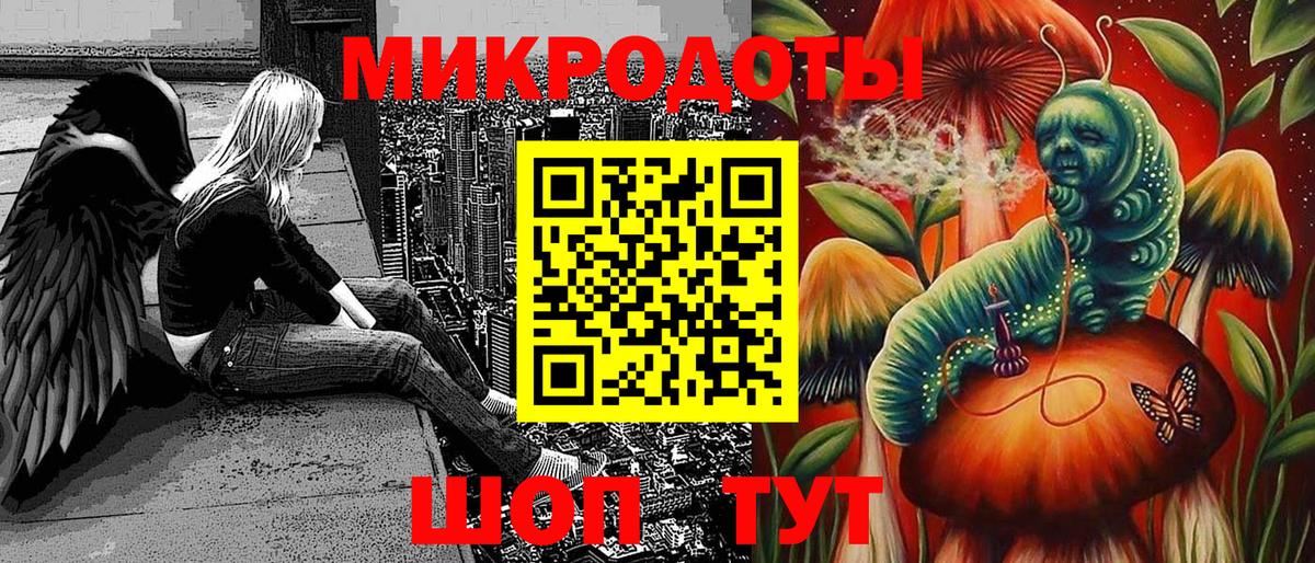 Галлюциногенные грибы Psilocybe Кушва